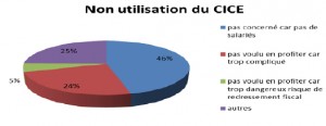 CINOV-IT 2015 : Pourquoi n'avez-vous pas bénéficié du CICE en 2014 ?