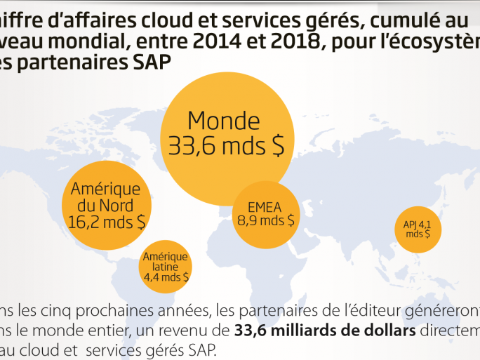 Infographie « Ecosystème Cloud et services managés" SAP / IDC